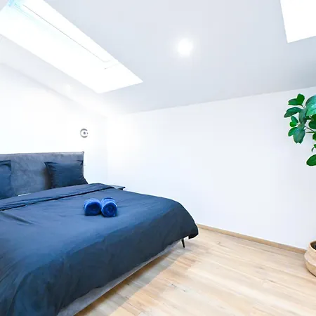 Beau Deux Pieces Cozy Avec Terrasse N11